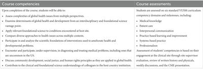 Ten-year evaluation of an immersive global health medical school course using a four-principle equity framework